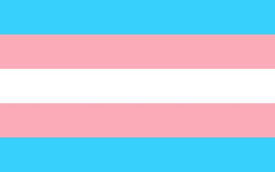 Kršenje prava transrodnih osoba na privatni i porodični život, sklapanje braka i oduzimanje prava na samoodređenje